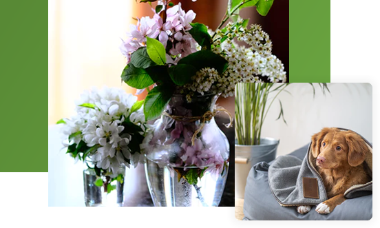 The Florist's Choice Vase Flowers