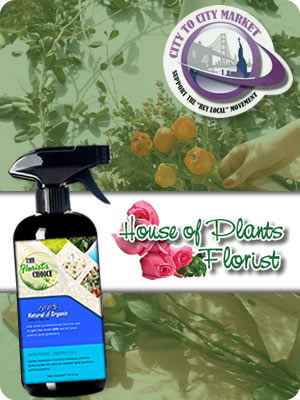 The Florist's Choice Testimonials House of Plants Florist